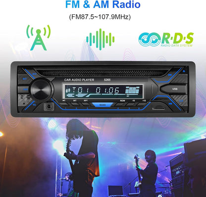 Single Din Car Stereo with CD/DVD Player, Single Din Radio with SD Card/AUX/USB Playback, AM/FM