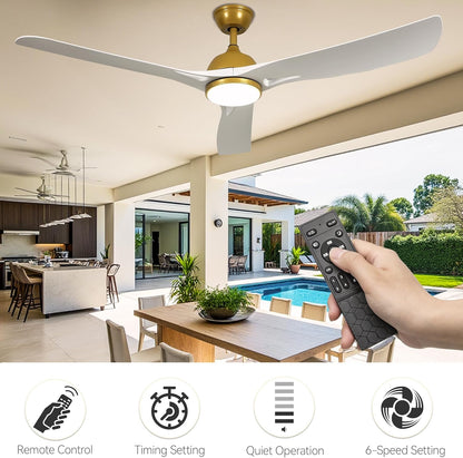 DWVO 56" Smart Ceiling Fan with Light: Silent DC Motor - White